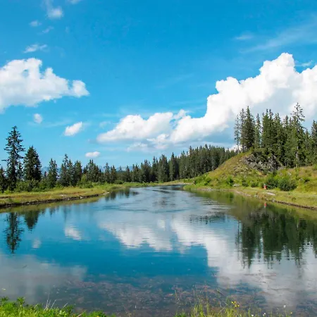 Apartment Schlossmuehle By Interhome Fuegen